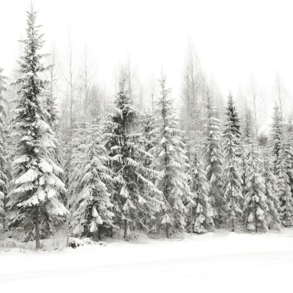 Accessories - Thank You For Shopping With Mimilanefashion 1/23